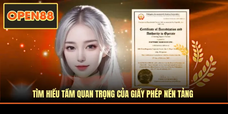 Tìm hiểu tầm quan trọng của giấy phép nền tảng